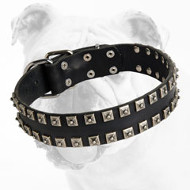 Adjustable Leather Bulldog Collar with Studs for Training