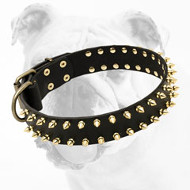 Luxury Spiked Leather Bulldog Collar for Walking