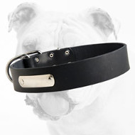 Reliable Leather Bulldog Collar with a Name Tag