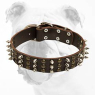 Royal Leather Bulldog Collar with Hand-Set Spikes and Studs