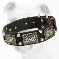 Hand-Decorated Leather Bulldog Collar with Old Nickel Plates and Nickel Pyramids