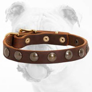 Best Hand-Decorated Durable Leather Bulldog Collar with Studs