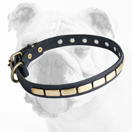 Fashionable Leather Bulldog Collar with Plates