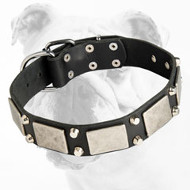 War Decorated Leather Bulldog Collar