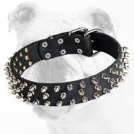 Fancy Leather Bulldog Collar with Spikes for Training