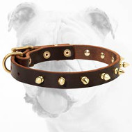 Adjustable Leather Bulldog Collar with Shiny Brass Spikes