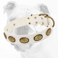 Reliable White Leather Bulldog Collar with Brass Vintage Plates
