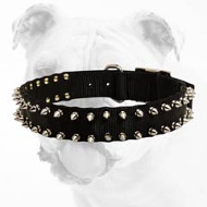 Black Spiked Nylon Bulldog Collar for Training