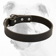 Strong Leather Bulldog Collar for Walking and Training