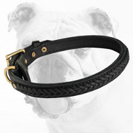 Fabulous Super Durable Braided Walking and Training Leather Bulldog Collar