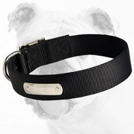 Excellent Walking and Training Nylon Bulldog Collar