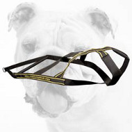 Comfortable Nylon Bulldog Harness for Various Activities