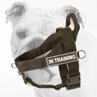 Lightweight Nylon Bulldog Harness for Pulling Activities