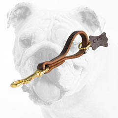 Fast Grab Leather Bulldog Leash