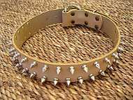 Bull custom Leather Spiked Dog Collar - 2 Rows of spikes