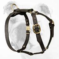 Luxury Handcrafted Leather Bulldog Harness