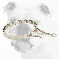 Stainless Steel Bulldog Neck Tech Collar