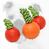 Rubber Bulldog Water Ball on a Strong String