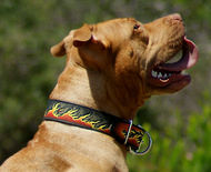 painted by our artists leather dog collar-custom for BullyPit