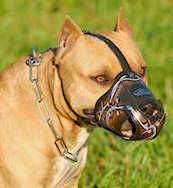 Spiked Leather Comfortable Dog Muzzle Adjustable PitBull Terrier Doberman Husky 