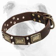 Decorated War Leather Bulldog Collar with Massive Plates and Pyramids