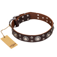 'Age of Beauty' FDT Artisan Incredible Studded Brown Leather Bulldog Collar