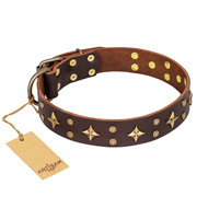 'High Fashion' FDT Artisan Embellished Brown Leather Bulldog Collar