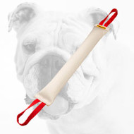 Huge Fire Hose Bulldog Bite Tug with two Nylon Handles
