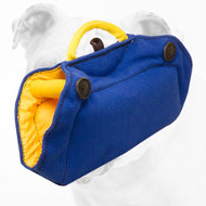 Training French Linen Bulldog Bite Builder