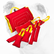 High Quality French Linen Bulldog Set for Training