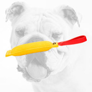 Best Quality French Linen Bulldog Bite Tug