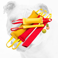 French Linen Bulldog Training Set