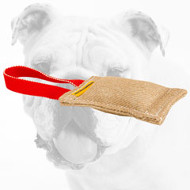 Jute Bulldog Bite Tug with one Handle