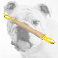 Strong Jute Bulldog Bite Tug