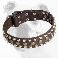 Reliable Leather Bulldog Collar with Brass Studs and Nickel Pyramids