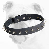 Spiked Leather Bulldog Collar