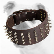 Designer Wide Spiked Leather Bulldog Collar