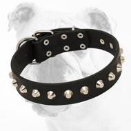 Luxury Hand-Made Leather Bulldog Collar with Nickel Pyramids