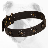 Unique Walking Leather Bulldog Collar