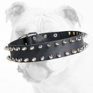 Fabulous Spiked Leather Bulldog Collar with 2 Rows of Spikes