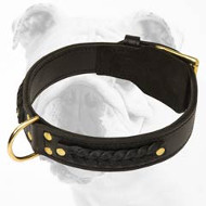 Gorgeous Wide 2 Ply Leather Dog Collar - Braided Leather Collar