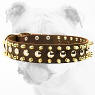 Practical Leather Bulldog Collar with Nickel Studs and Brass Spikes