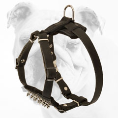 Excellent Quality Adjustable Leather Bulldog Puppy Harness