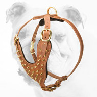 Deluxe Brass Leather Spiked Dog Harness