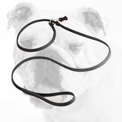 High Quality Fast Handling Leather Bulldog Leash Choke Collar