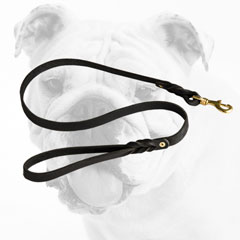Hand-decorated Leather Bulldog Leash for Walking