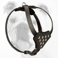 Designer Leather Bulldog Puppy Harness with Studs