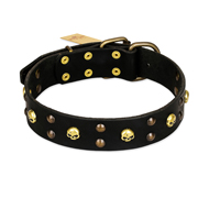 FDT Artisan 'Heavy Metal' Leather Bulldog Collar with Skulls and Studs 1 1/2 inch (40 mm)