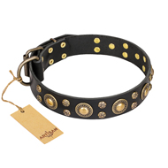 'Baroque Chic' FDT Artisan Studded Black Leather Bulldog Collar