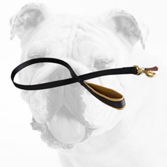 Excellent Nylon Bulldog Leash with Soft Padded Handle